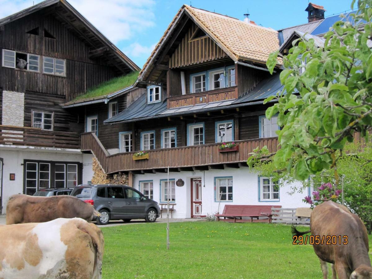 Villa Landl Vorberg à Ramsau am Dachstein Extérieur photo