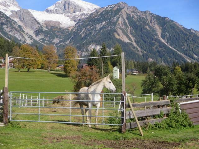 Villa Landl Vorberg à Ramsau am Dachstein Extérieur photo